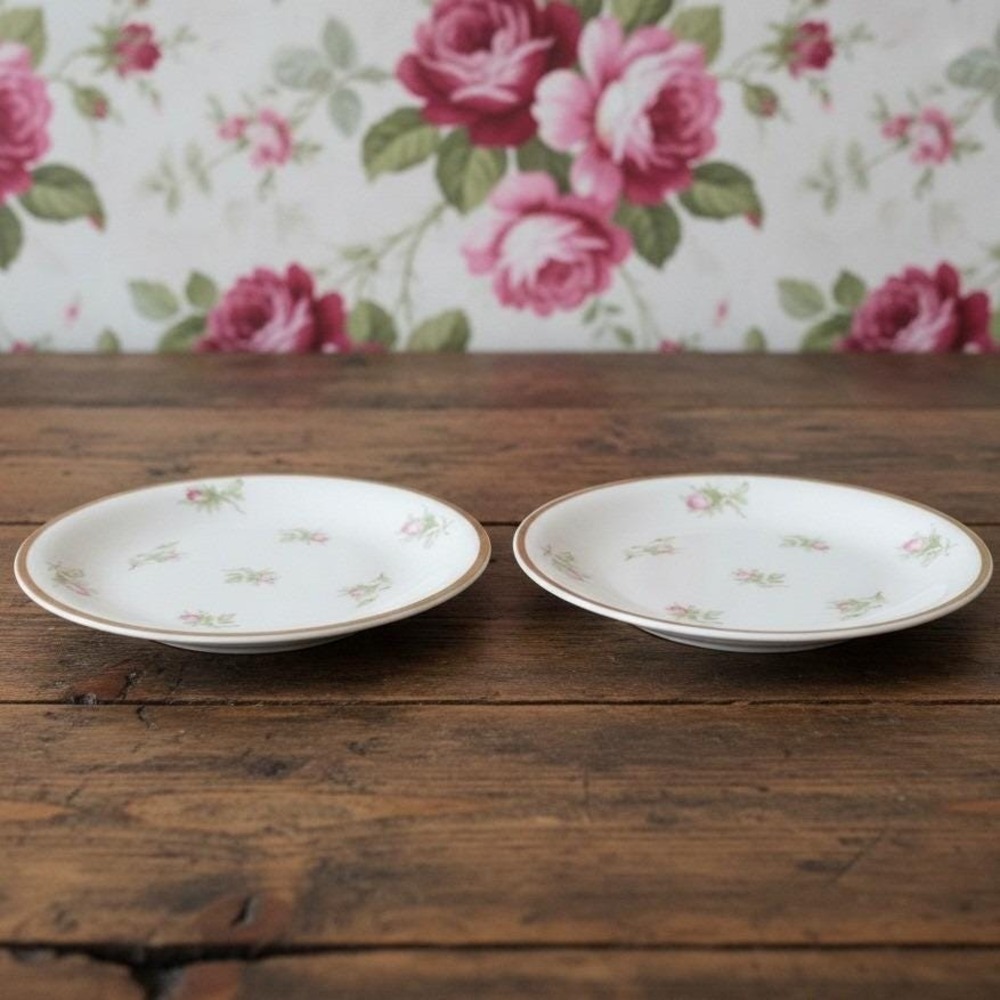Edelstein China Darlington Floral Bread Plates, Set of 2, Vtg Germany Porcelain